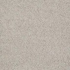 Cement
