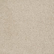 Chic Cream