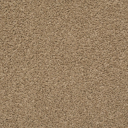 Del Morro - ZZ021_00170-Carpet