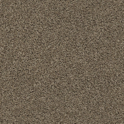 Del Morro - ZZ021_00518-Carpet