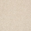 Desert Star
