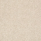 Desert Star