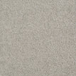 Gray Whisper