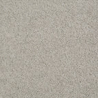 Gray Whisper
