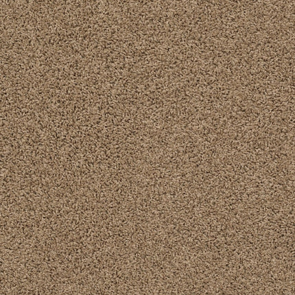 Del Morro - ZZ021_00172-Carpet