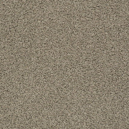 Del Morro - ZZ021_00516-Carpet