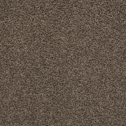 Del Morro - ZZ021_00525-Carpet