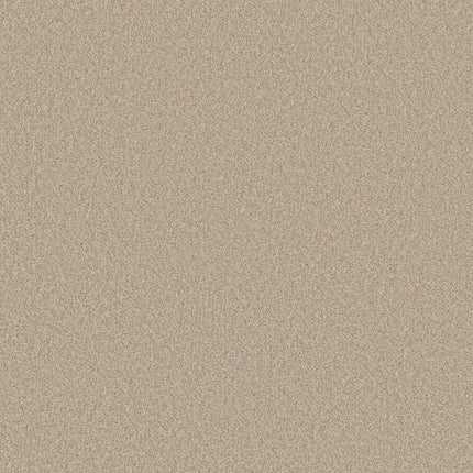 Del Rio I - 5E825_00151-Carpet