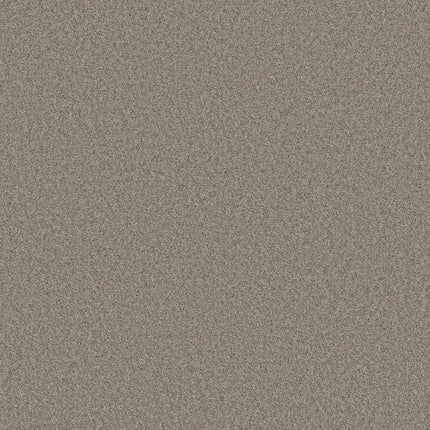 Del Rio I - 5E825_00751-Carpet