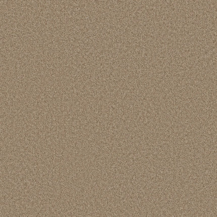 Del Rio I - 5E825_00750-Carpet