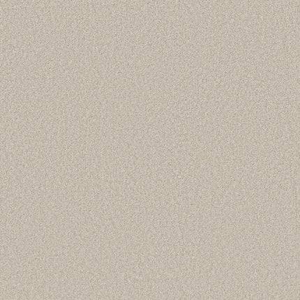 Del Rio I - 5E825_00150-Carpet