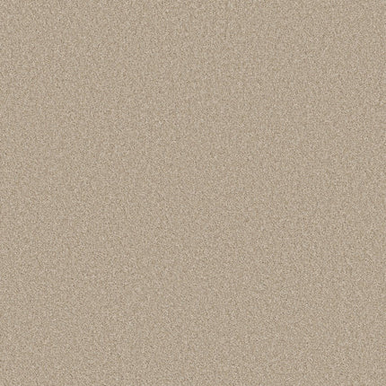 Del Rio I - 5E825_00743-Carpet