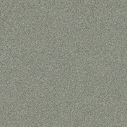 Del Rio I - 5E825_00307-Carpet