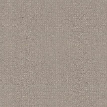 Del Vista - ZZ262_00558-Carpet