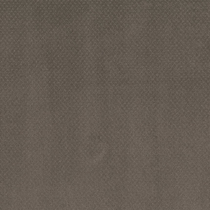 Del Vista - ZZ262_00573-Carpet