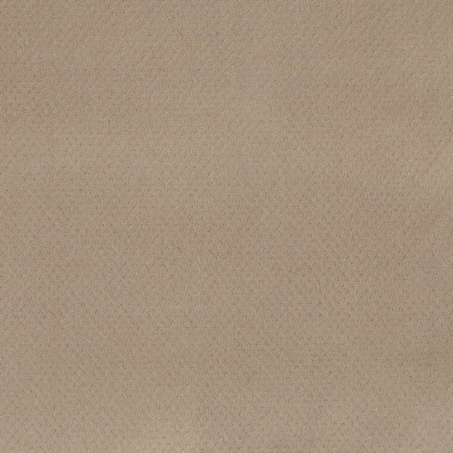 Del Vista - ZZ262_00114-Carpet