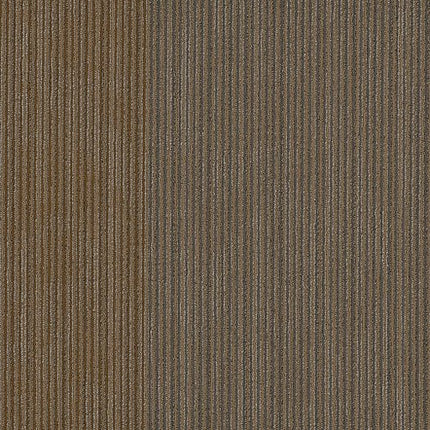 DISCLOSE - 54905 - 00208 - Carpet Tile