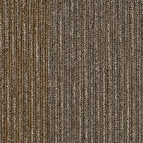 DISCLOSE - 54905 - 00208 - Carpet Tile