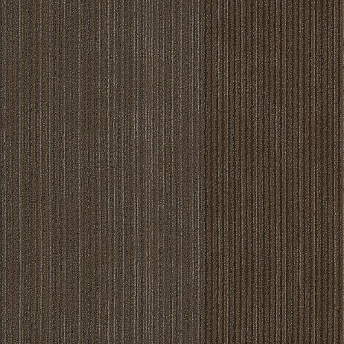 DISCLOSE - 54905 - 00210 - Carpet Tile