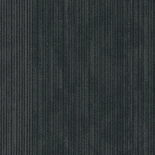 DISCLOSE - 54905 - 00512 - Carpet Tile