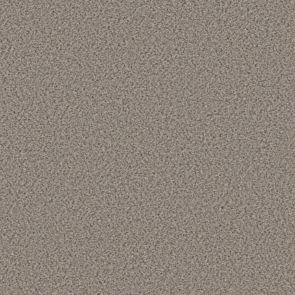 ELEMENTAL MIX II - E9565 - 00570 - Carpet