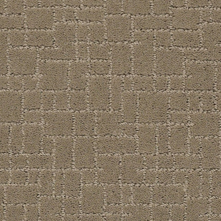 Faux Paw - ZZ084_00712-Carpet