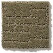 Dry Sage