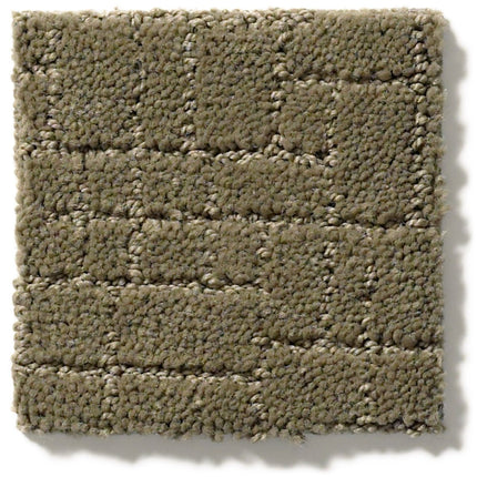 Faux Paw - ZZ084_00536-Carpet