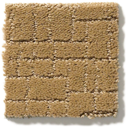 Faux Paw - ZZ084_00224-Carpet