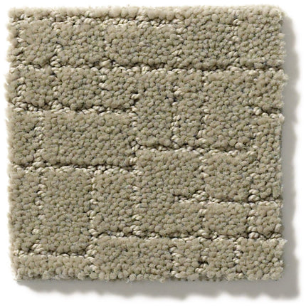 Faux Paw - ZZ084_00533-Carpet