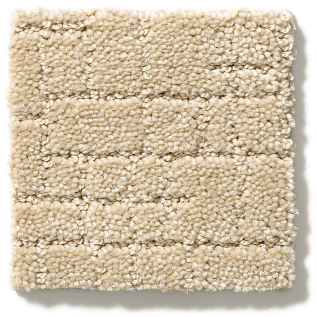 Faux Paw - ZZ084_00113-Carpet