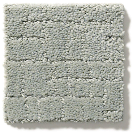 Faux Paw - ZZ084_00451-Carpet