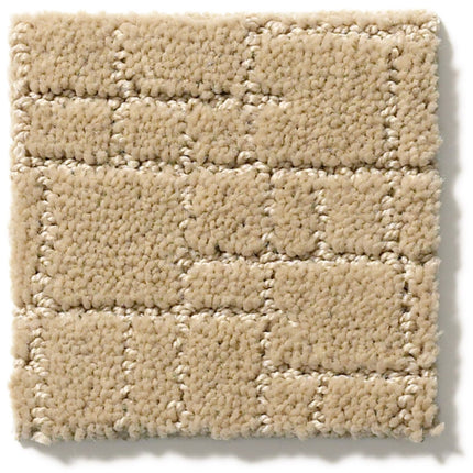 Faux Paw - ZZ084_00115-Carpet