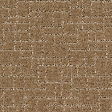 Faux Paw - ZZ084_00186-Carpet