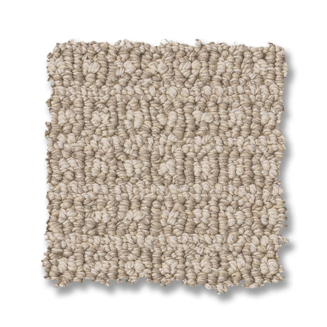 Fetch - ZZ074_00111-Carpet