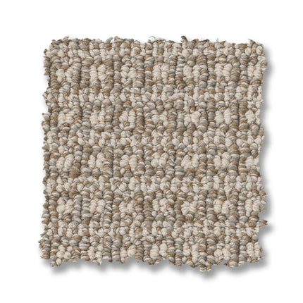 Fetch - ZZ074_00712-Carpet