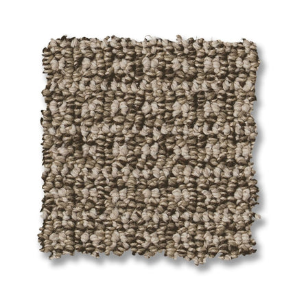 Fetch - ZZ074_00717-Carpet