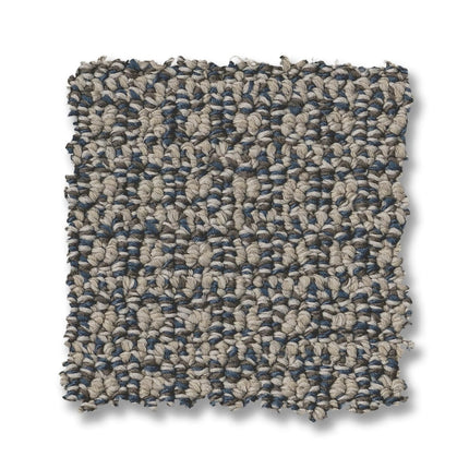 Fetch - ZZ074_00458-Carpet