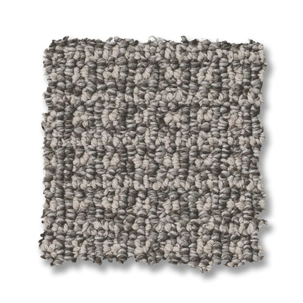Fetch - ZZ074_00556-Carpet