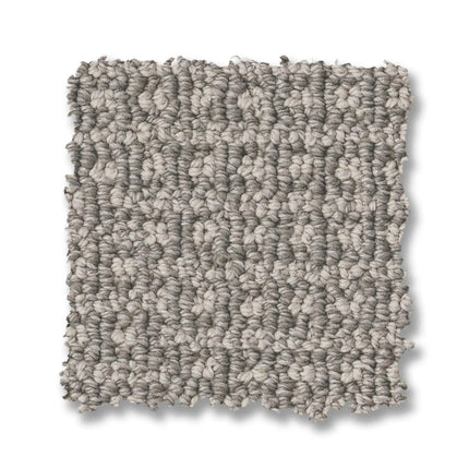 Fetch - ZZ074_00546-Carpet