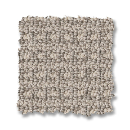 Fetch - ZZ074_00511-Carpet