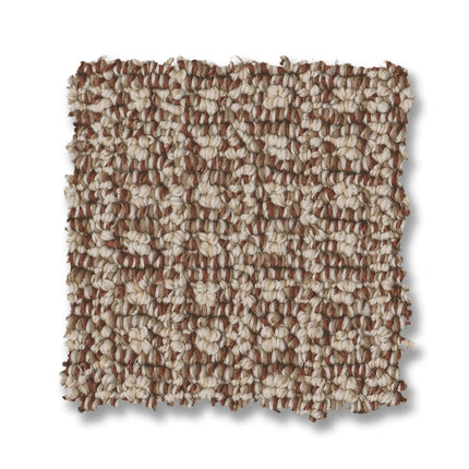Fetch - ZZ074_00614-Carpet