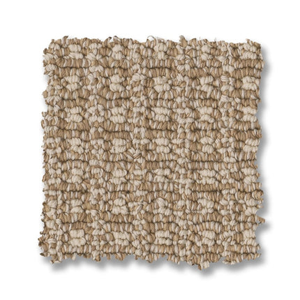 Fetch - ZZ074_00213-Carpet