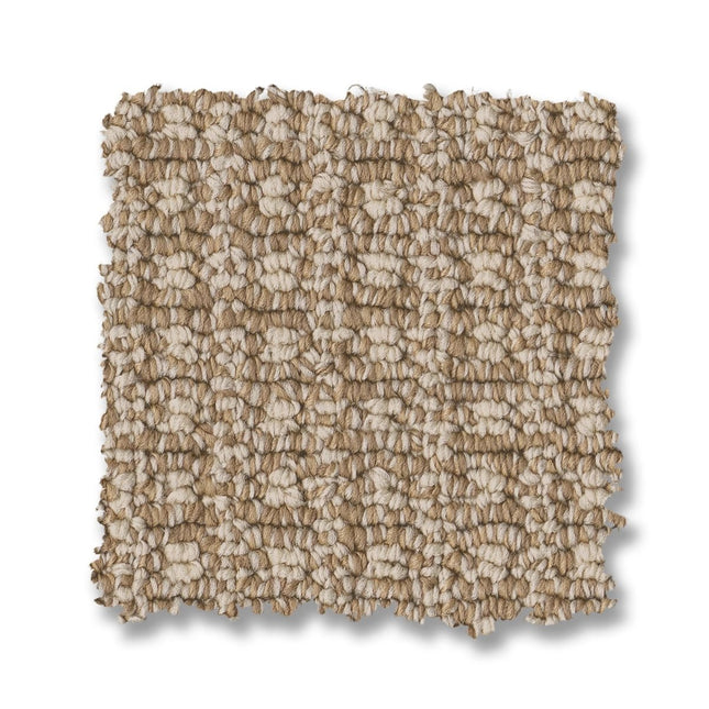 Fetch - ZZ074_00213-Carpet