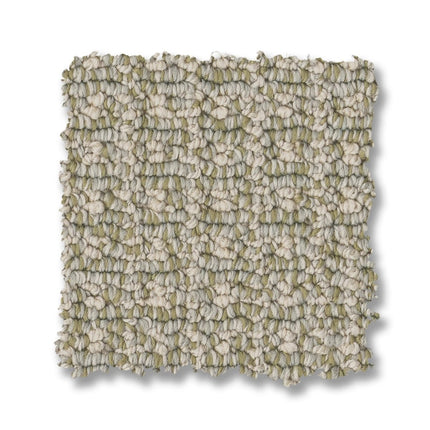 Fetch - ZZ074_00312-Carpet