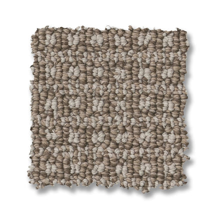 Fetch - ZZ074_00753-Carpet