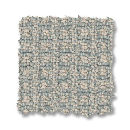 Fetch - ZZ074_00412-Carpet