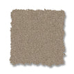 Crisp Khaki