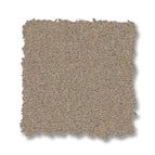 Crisp Khaki