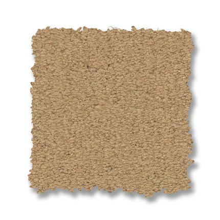 Finery - ZZ351_00251-Carpet